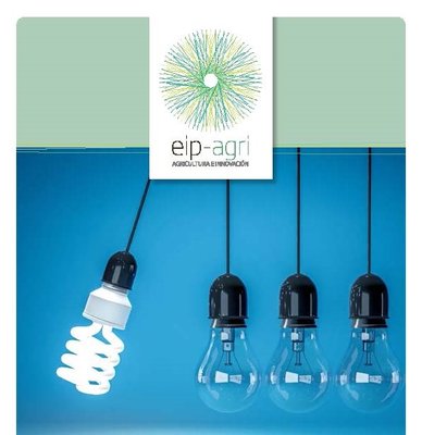 Ayudas para la ejecución de proyectos de innovación de interés general por grupos operativos de la Asociación Europea para la Inno