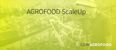 Bases convocatoria AGROFOOD