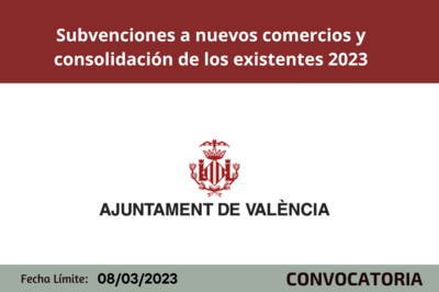Subvenciones a Nuevos Comercios y Consolidaci�n de los Existentes