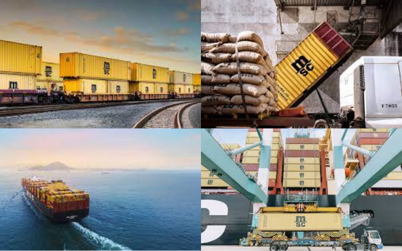 MEDITERRANEAN SHIPPING COMPANY ESPA�A SL