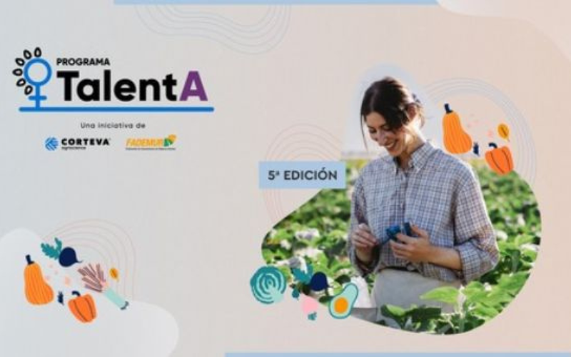 5� Edici�n Programa TalentA[;;;][;;;]