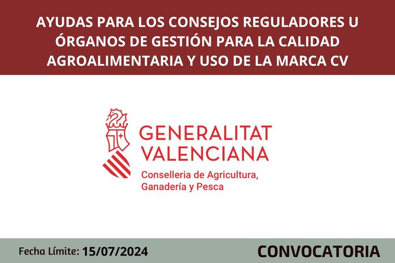 Ampliar imagen