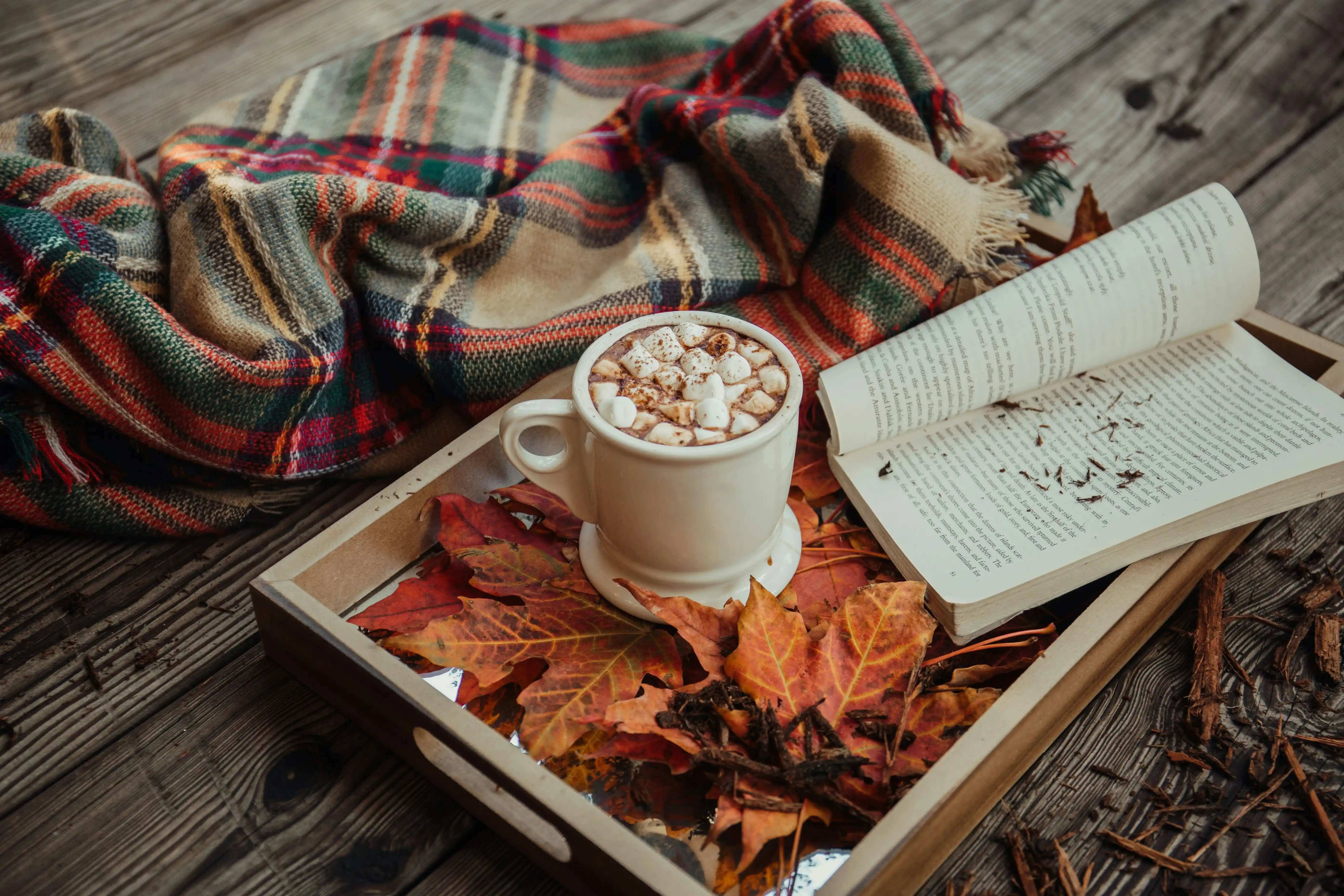 Cómo Transformar tu Hogar para el Otoño: Colores y Accesorios