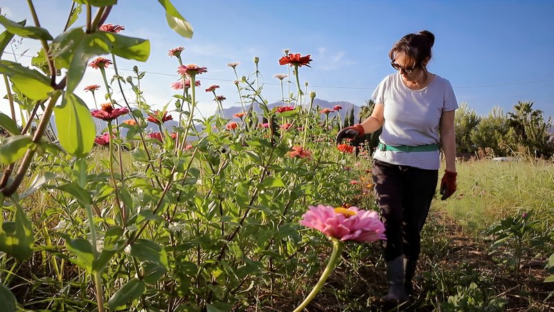 La Huerta Flores