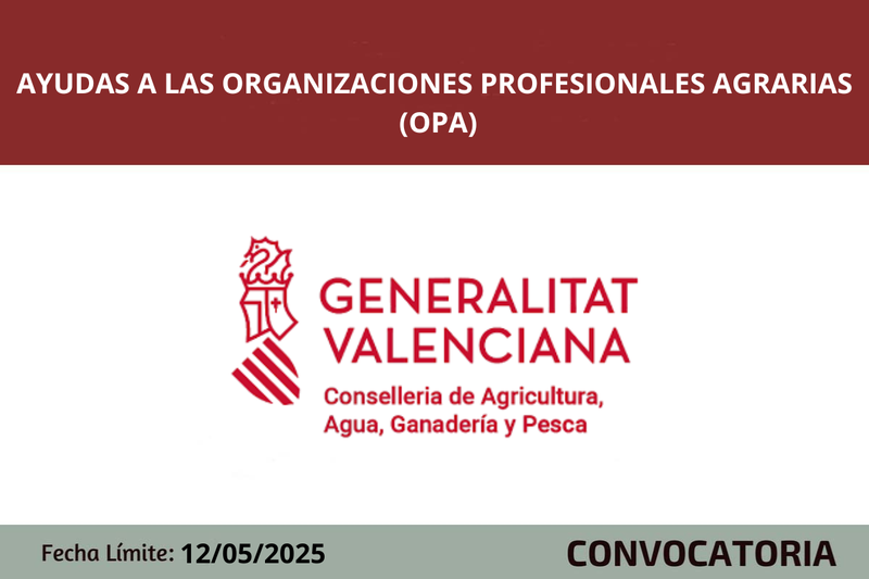 Ampliar imagen