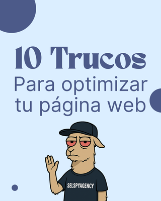 Agencia SEO Murcia 