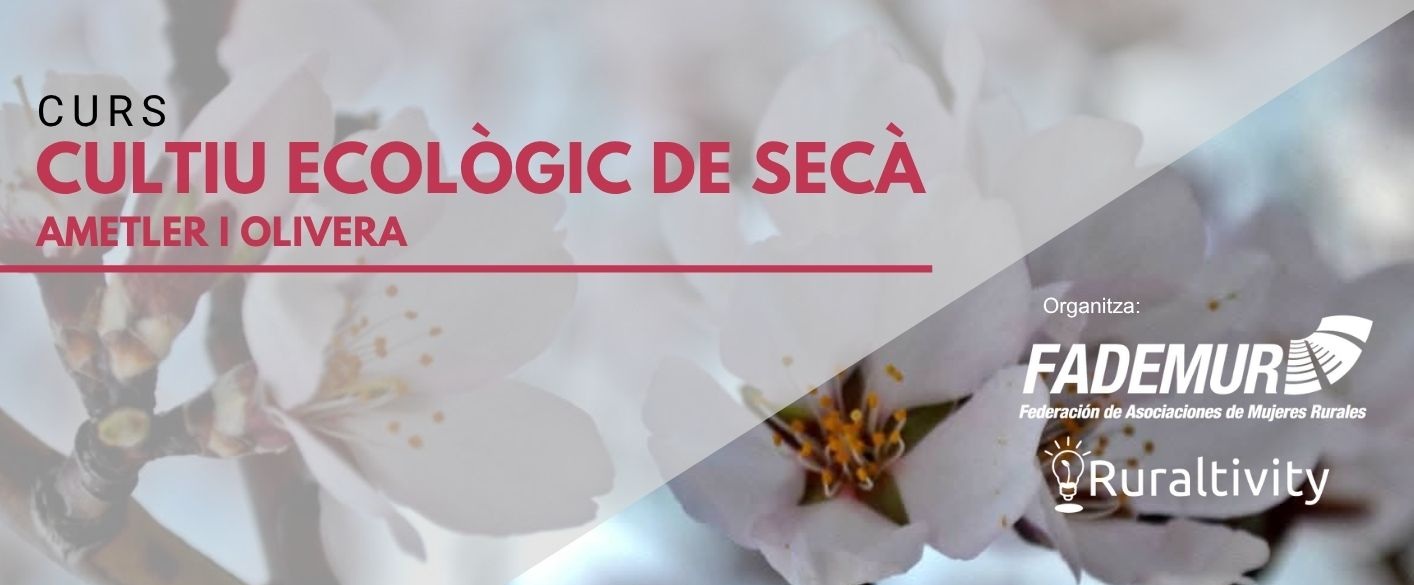 Cabecera Secano