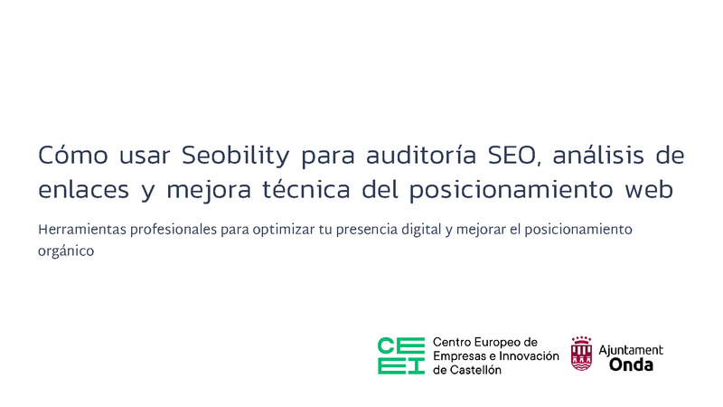 14_C�mo usar Seobility para auditor�a SEO, an�lisis y posicionamiento