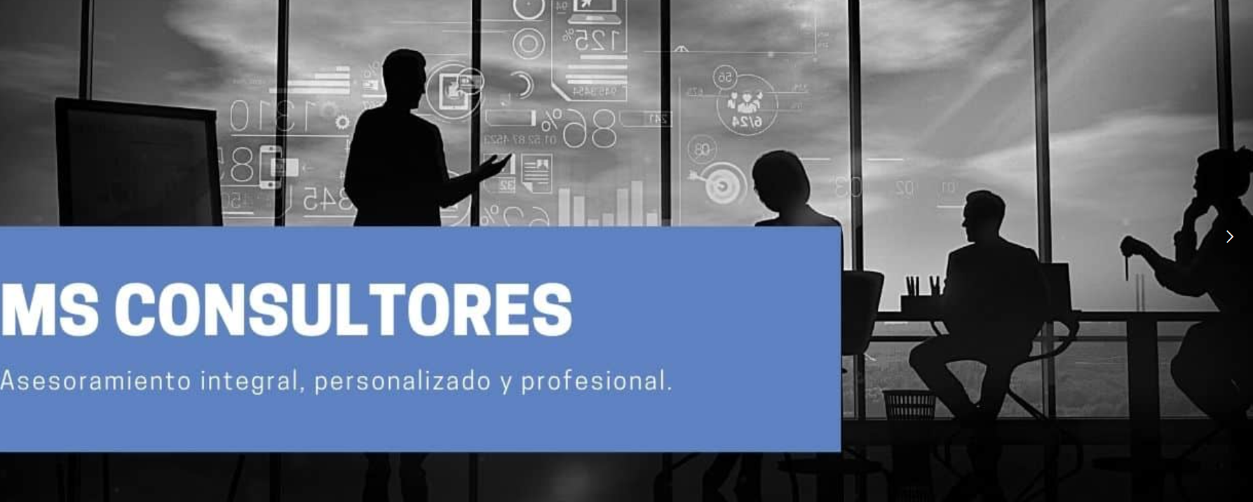Ms consultores