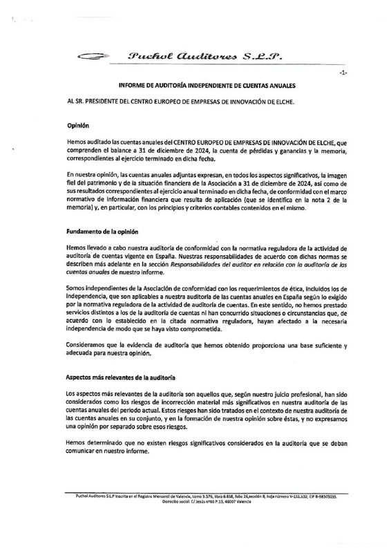 Cuentas anuales e informe de auditor�as CEEI Elche 2025