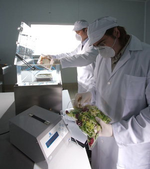 agroalimentación