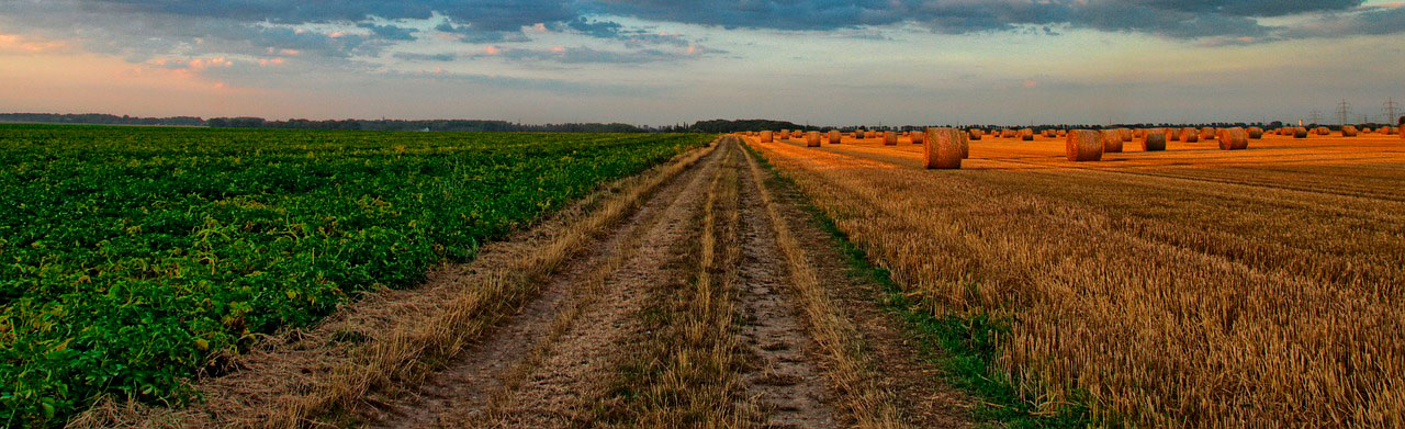 Agrosoluciones Albacete
