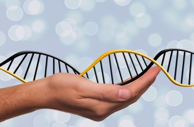 Beneficios del Test Gen�tico
