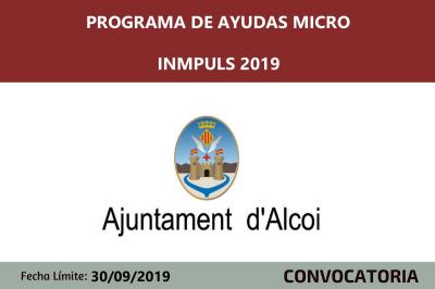 Ayudas Micro Inmpuls 2019