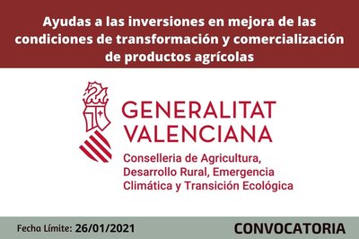 Ayudas a la inversi�n en mejoras de las condiciones de transformaci�n y comercializaci�n productos agr�colas