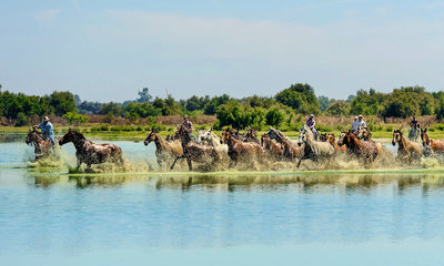 rutas a caballo en España
