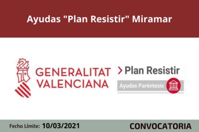 Bases de la Convocatoria