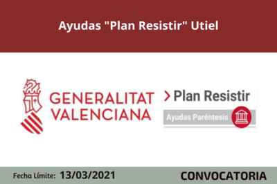 Bases de la convocatoria