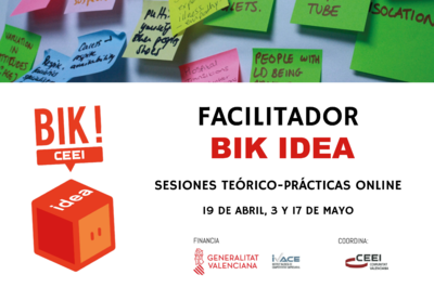 Sesiones teórico-prácticas Facilitador BIK IDEA. Online