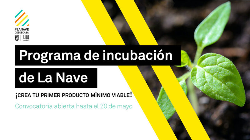 Ampliar imagen