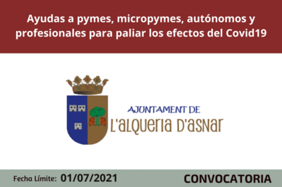 Bases de la Convocatoria